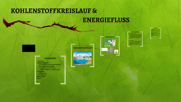 Kohlenstoffkreislauf und Energiefluss by