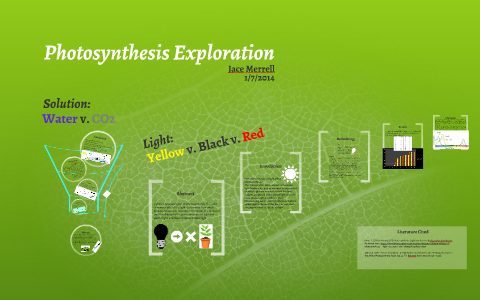 Photosynthesis Lab Rposter Photosynthesis Lab Mini Poster by Jace Merrell on Prezi