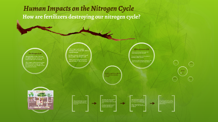 Human Impacts On The Nitrogen Cycle By Alley Herring