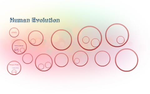 Human Evolution by Micha Stayshe Azucena on Prezi