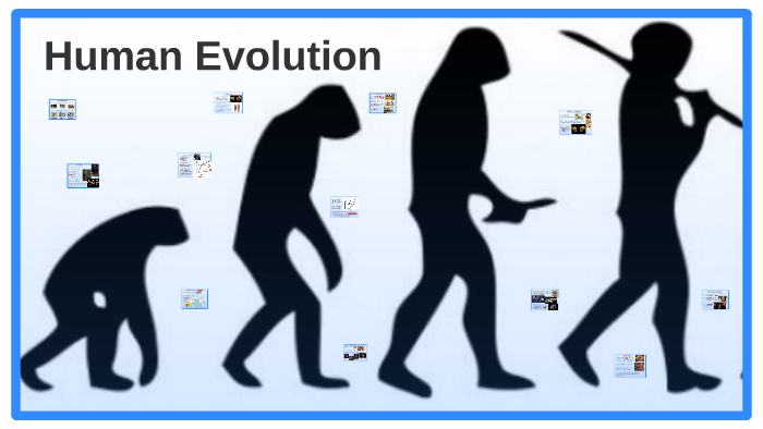 Human Evolution by Alexa Calkin on Prezi