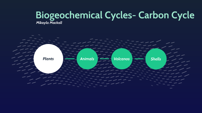 Biogeochemical Cycles- Carbon Cycle by Mikayla Mackall on Prezi