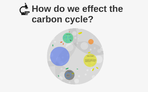 How do we impact the carbon cycle? by Dalia Fantini on Prezi