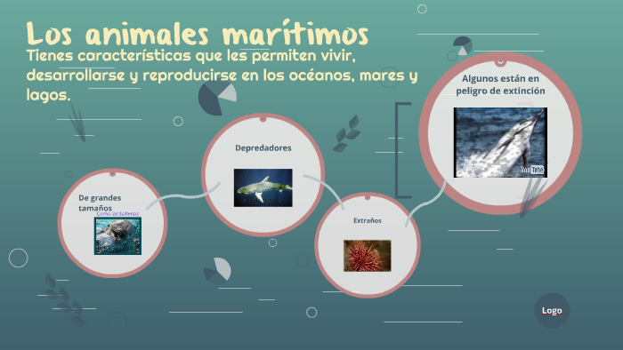 Los animales marítimos by lilia rodriguez on Prezi