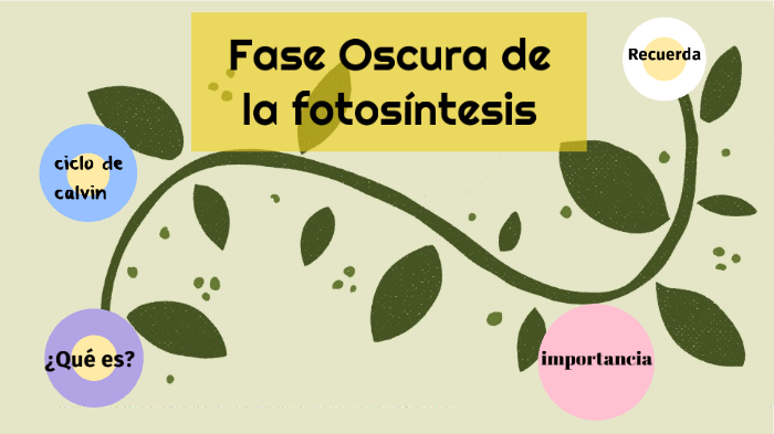 Fase Oscura De La Fotosintesis Youtube Tv Imagesee