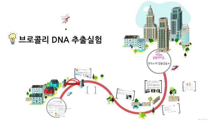 
    브로콜리 DNA 추출실험 by chae rin son
