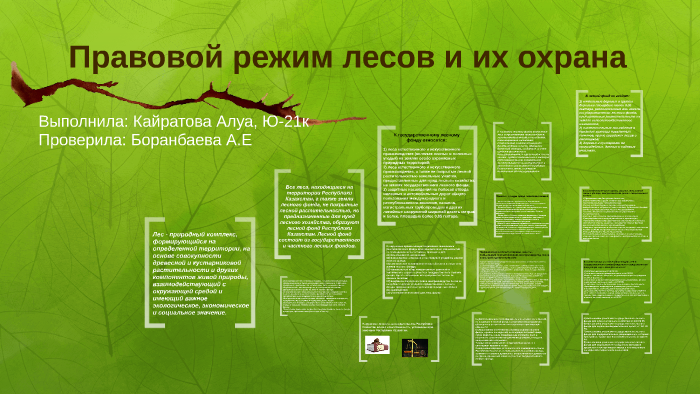 Правовой режим охраны и использования лесов проект