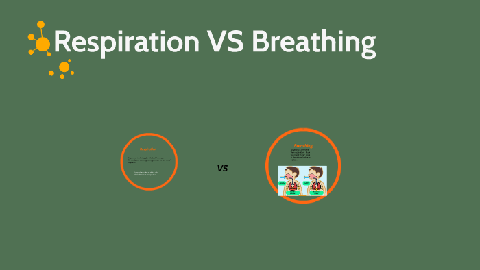 Respiration VS Breathing by josh bentley on Prezi