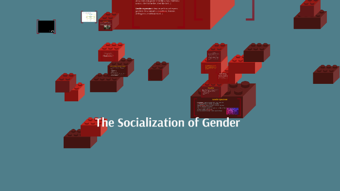 Gender Socialization By Joanna Murphy 