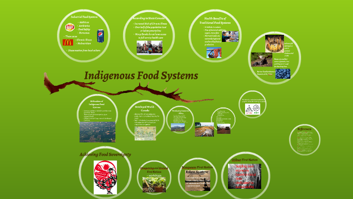 Indigenous Food Systems By Michael Müller