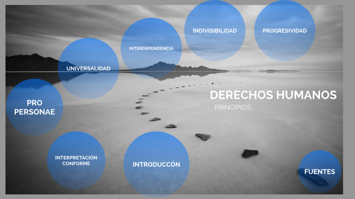 LOS PRINCIPIOS DE LOS DERECHOS HUMANOS by Orlando David Estrada Diaz on ...
