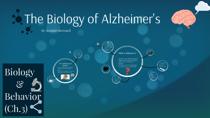 The Biology Of Memory by Kendall Shevenell on Prezi