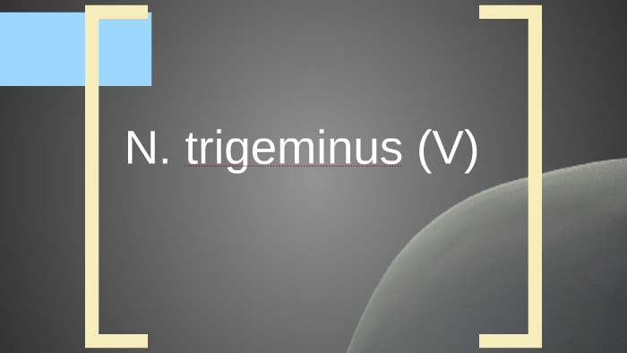 N. trigeminus (V) by musa kemal keleş on Prezi