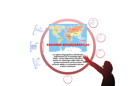 regiones biogeograficas by paco hdez on Prezi