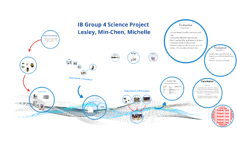 group 4 project ib research questions