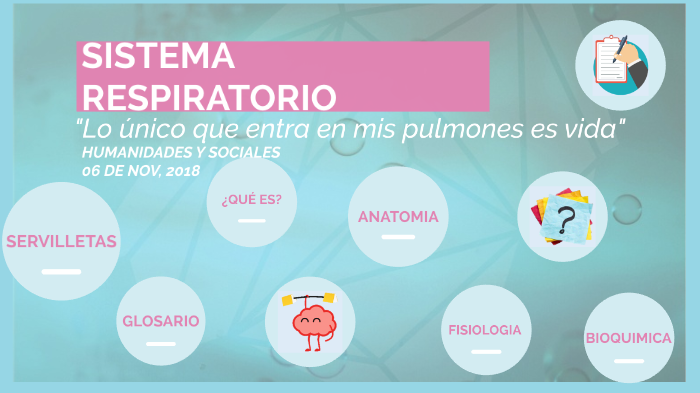 sistema respiratorio by Angelica Muñiz on Prezi