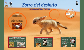 Zorro Del Desierto Fennecus Zerda By Lucas Guti