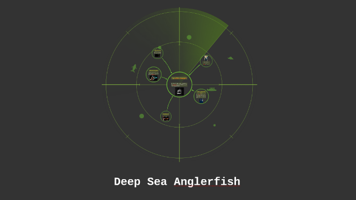 Deep Sea Anglerfish by Sinead Griffin on Prezi