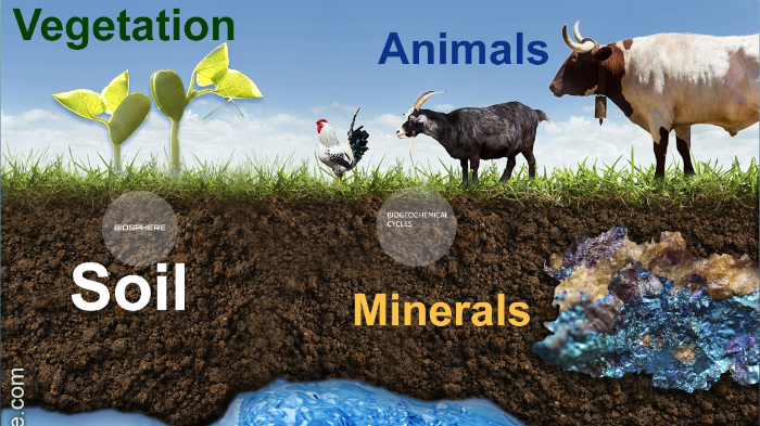 Natural Resources by PPI School on Prezi