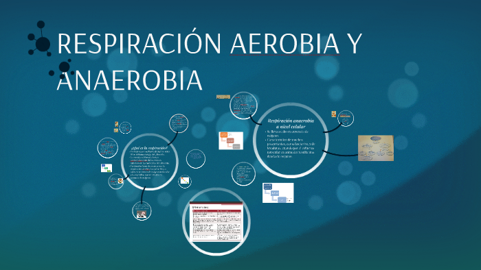 RespiraciÓn Aerobia Y Anaerobia By Paula Arias On Prezi 7904