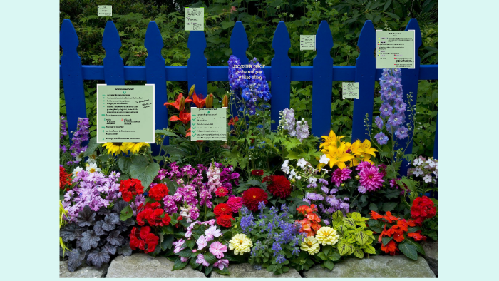 DOSSIER GRCF by allan vallet on Prezi