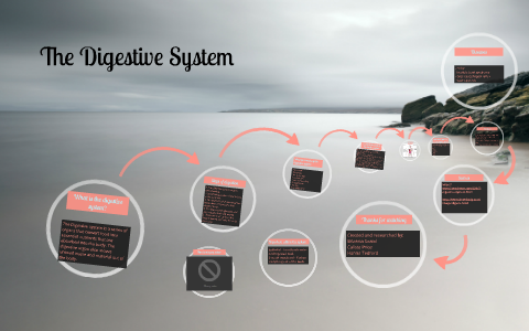 The Digestive System by hanna tedford on Prezi