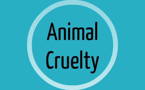 animal cruelty informative speech