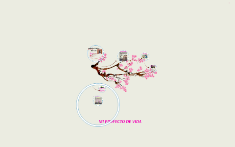 MI PROYECTO DE VIDA by Cristina Barrera on Prezi