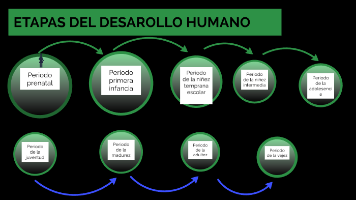 ETAPAS DEL DESAROLLO HUMANO -FISICA by LEONARDO LOPEZ ESQUECHE
