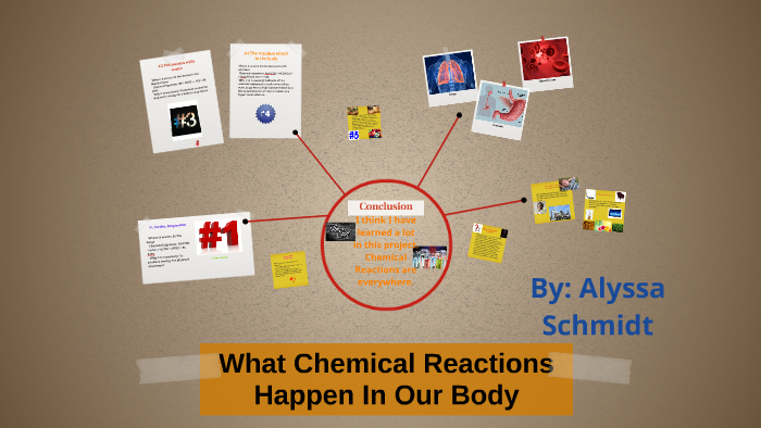 what-chemical-reactions-happen-in-our-body-by-alyssa-schmidt