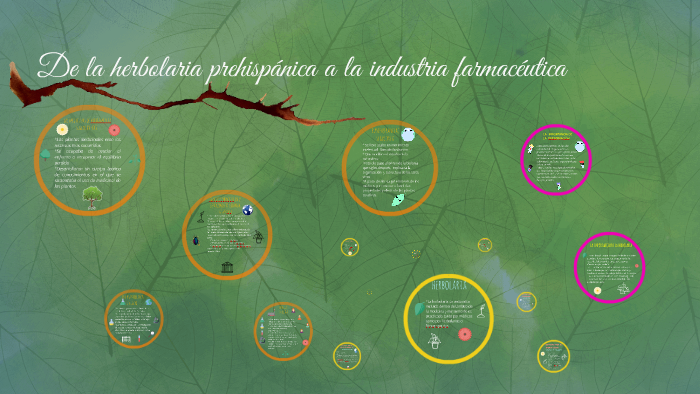 De la herbolaria prehispánica a la industria farmacéutica by yadira