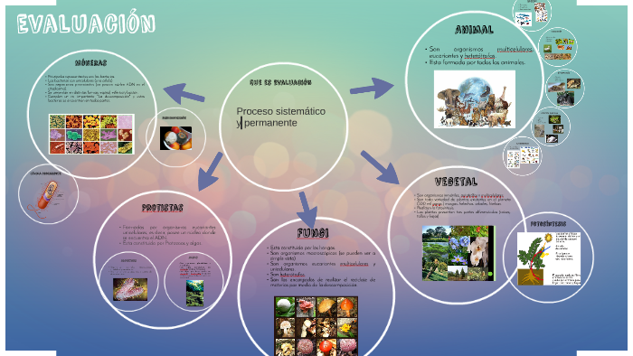 Reinos de la naturaleza by karina alejandra maldonado peña on Prezi