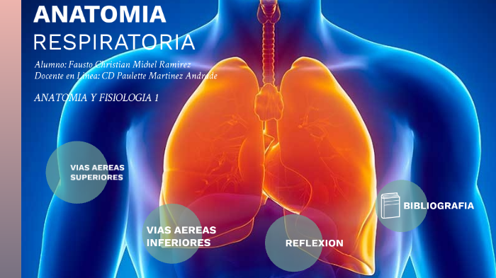 Aparato respiratorio by Christian Michell on Prezi