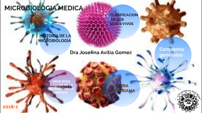 MICROBIOLOGIA MEDICA by Jo Avy on Prezi Next
