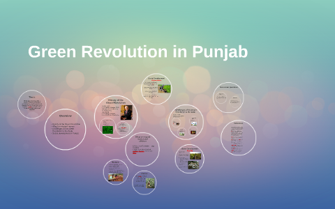 who is the father of green revolution in punjab