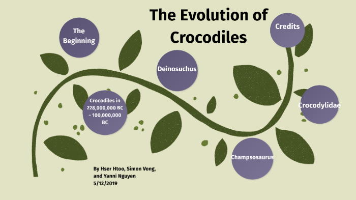 The Evolution of Crocodiles by Hser Htoo on Prezi