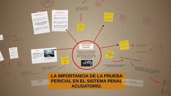 La Importancia De La Prueba Pericial En El Sistema Penal Acusatorio By Mtro Alvarez On Prezi 6016