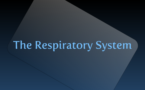 respiratory system by Joe Lentino