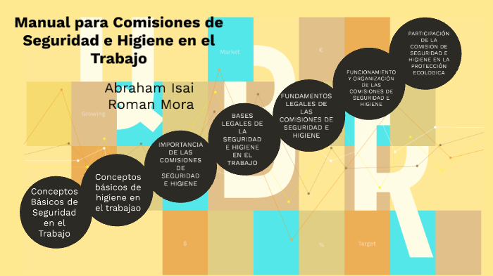 Manual Para Comisiones De Seguridad E Higiene En El Trabajo By Abraham Roman 6657