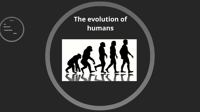 The evolution of monkeys by Carolina ortiz