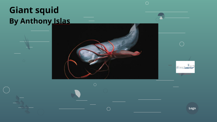 Body Parts of a giant squid by Anthony Islas on Prezi