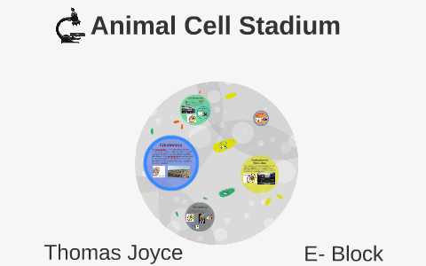Animal Cell Stadium by Thomas Joyce on Prezi