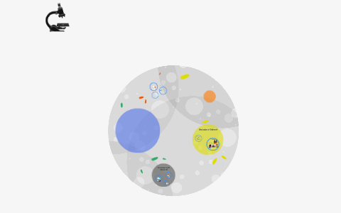 Annabell Lee by Annabell Lee