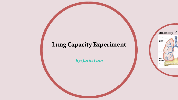 hypothesis for lung capacity experiment