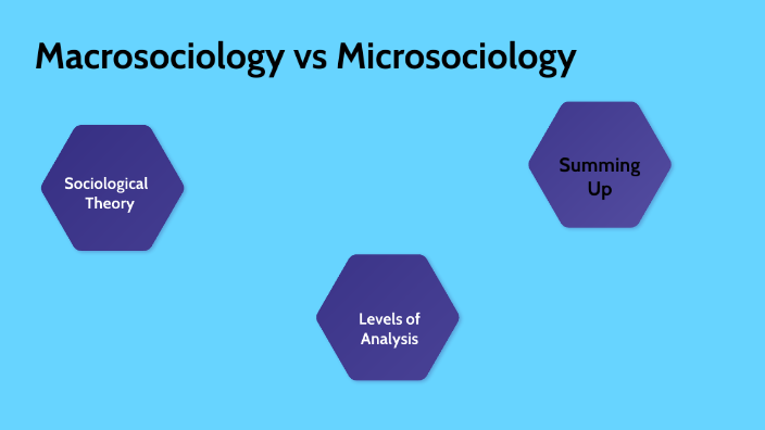 Macrosociology: Definition and 6 Great Examples (2024)