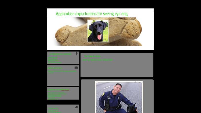 aplication-expatations-for-seeing-eye-dog-by-ethan-tran