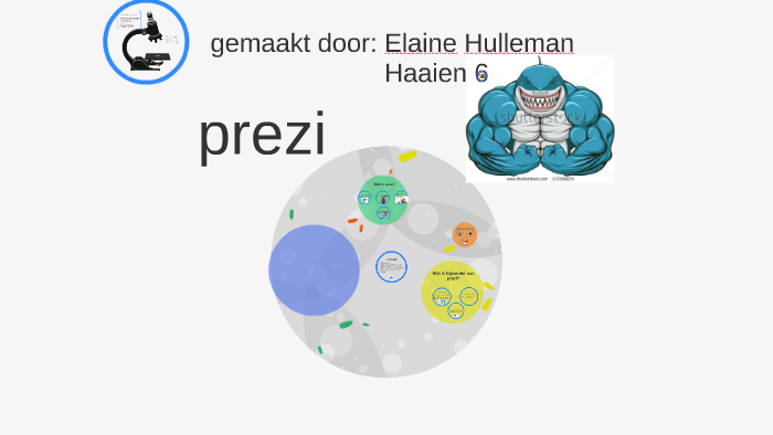 Hoe Maak Je Een Prezi By M. Hulleman