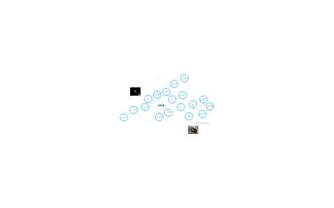 DNA Concept Map Science 9-10 by Brian Corbett on Prezi