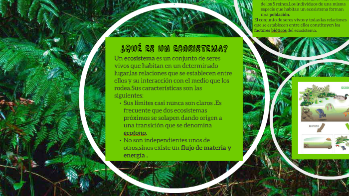LOS ECOSISTEMAS by lucia martinez martinez on Prezi