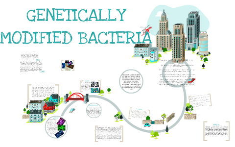What is involved in creating genetically modified bacteria?